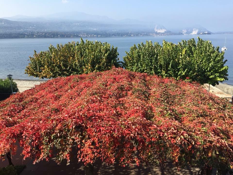 Albergo Riva Reno Di Leggiuno Exterior foto